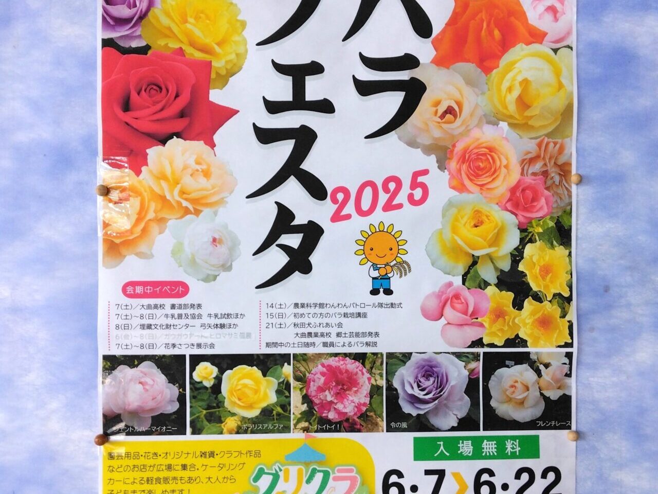 バラフェスタ