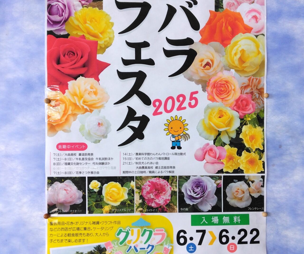 大仙市】咲き誇る200種300株！秋田県立農業科学館「バラフェスタ2025